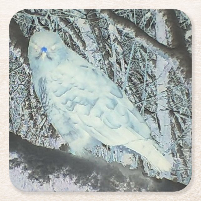 Posavasos Cuadrado De Papel Spooky Buzzard sobre la montaña rusa (Anverso)