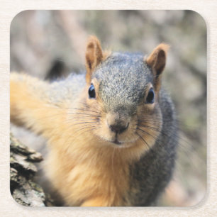 Posavasos Cuadrado De Papel Sr. Cutie