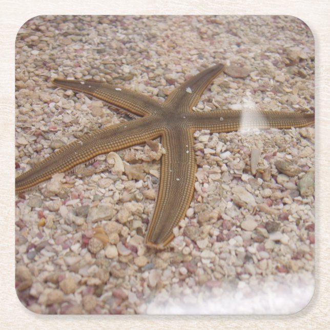 Posavasos Cuadrado De Papel Starfish Coaster Set (Anverso)