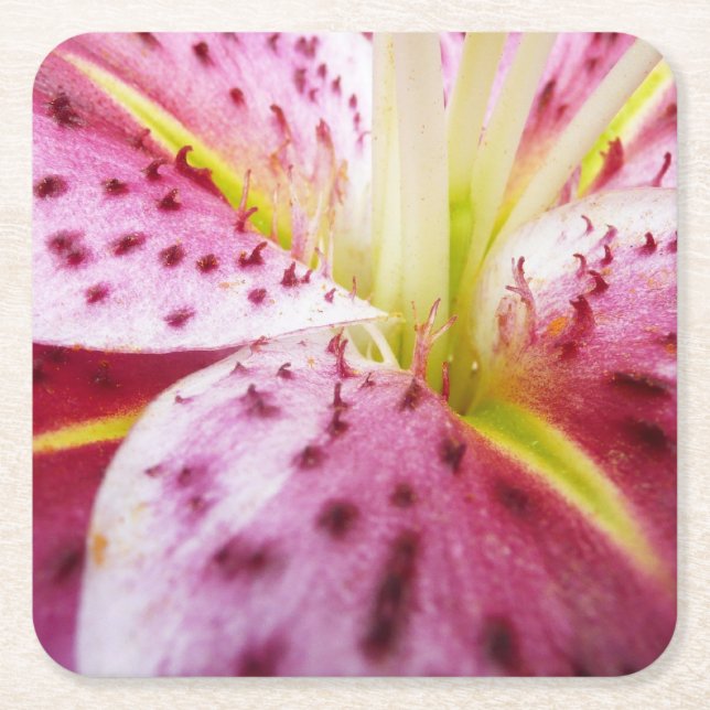 Posavasos Cuadrado De Papel Stargazer Lily Bright Magenta Floral (Anverso)