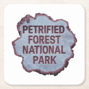 Posavasos Cuadrado De Papel Stube Petrified Forest National Park