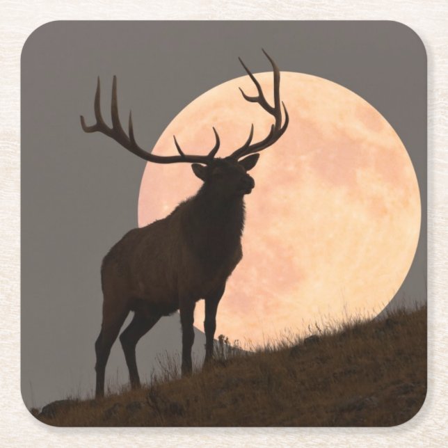 Posavasos Cuadrado De Papel Subida de los alces majestuosos de Bull y de la (Anverso)