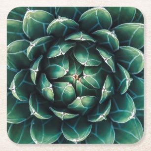 Posavasos Cuadrado De Papel Succulent verde y blanco