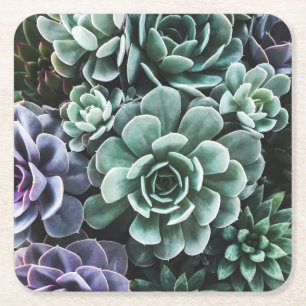 Posavasos Cuadrado De Papel Suculentas plantas verdes naturaleza