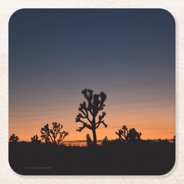 Posavasos Cuadrado De Papel Sunset Joshua Trees (Anverso)