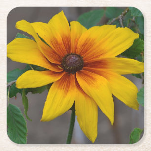 Posavasos Cuadrado De Papel Susan Fiesta Coaster, de ojos negros