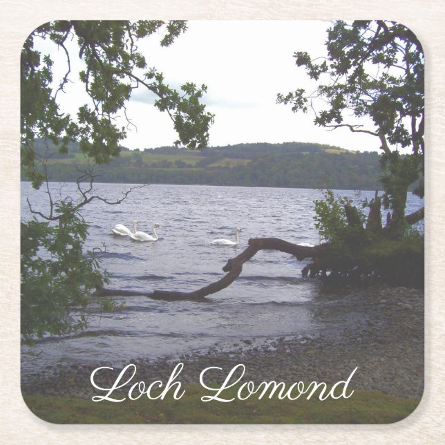 Posavasos Cuadrado De Papel Swans en Loch Lomond (Anverso)