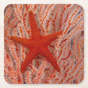 Posavasos Cuadrado De Papel Tailandia, Estrella de Mar