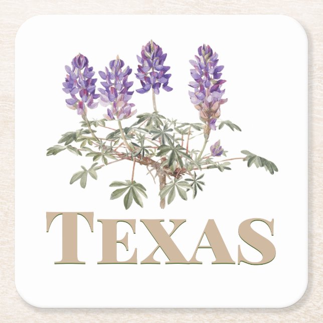 Posavasos Cuadrado De Papel Texas Bluebonnet 2 (Anverso)