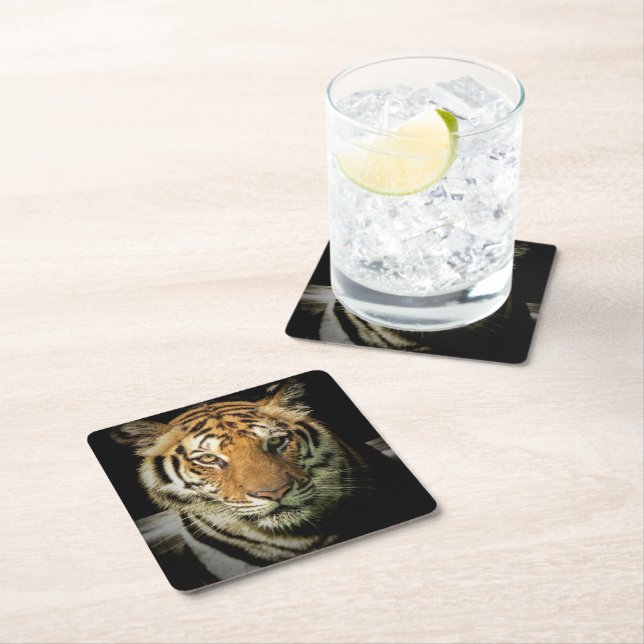 Posavasos Cuadrado De Papel tigre (In situ)