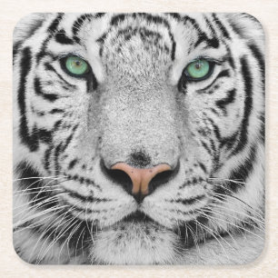 Posavasos Cuadrado De Papel Tigre blanco