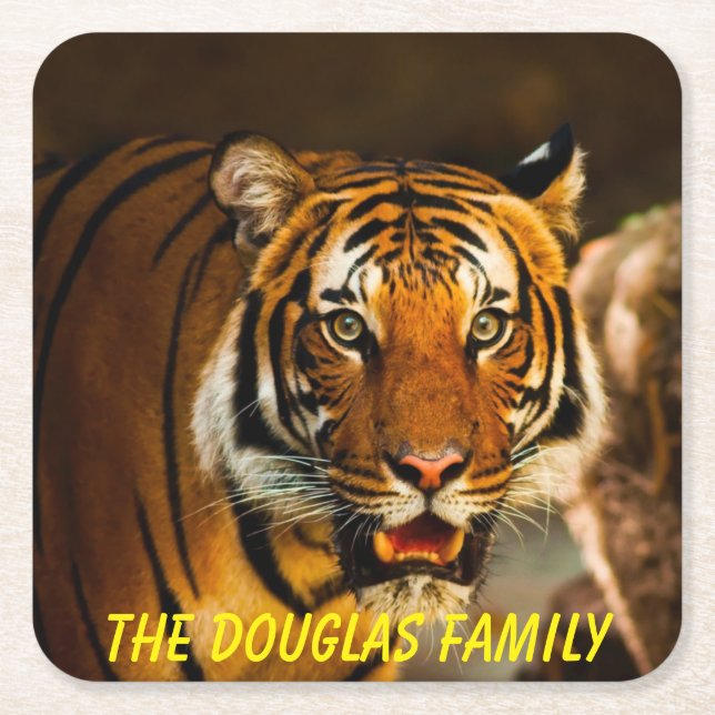 Posavasos Cuadrado De Papel Tigre de cierre (Anverso)