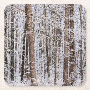 Posavasos Cuadrado De Papel Tormenta de hielo invernal en el bosque