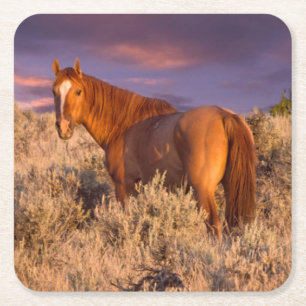 Posavasos Cuadrado De Papel Torneo de Harney