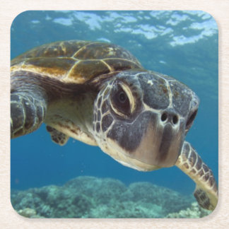 Posavasos Cuadrado De Papel Tortuga de mar verde hawaiana