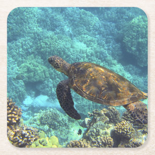 Posavasos Cuadrado De Papel tortuga en el mar