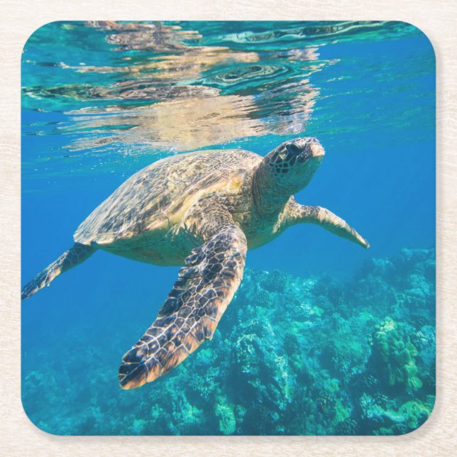 Posavasos Cuadrado De Papel Tortuga marina nadadora (Anverso)