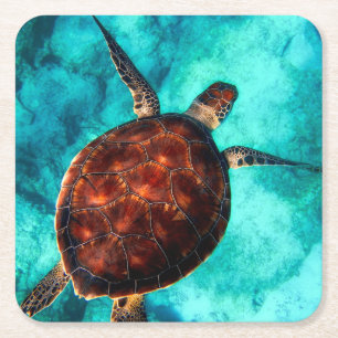 Posavasos Cuadrado De Papel Tortuga Marina Vida Marina