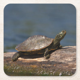 Posavasos Cuadrado De Papel Tortuga pintada en un tronco