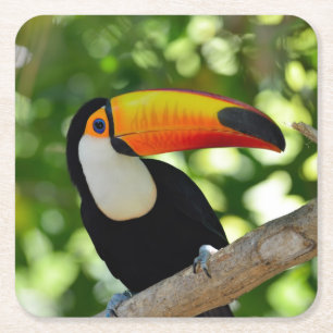 Posavasos Cuadrado De Papel Toucan