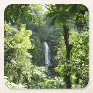 Posavasos Cuadrado De Papel Trafalgar cae fotografía tropical de selva tropica