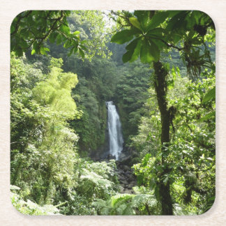 Posavasos Cuadrado De Papel Trafalgar cae fotografía tropical de selva tropica