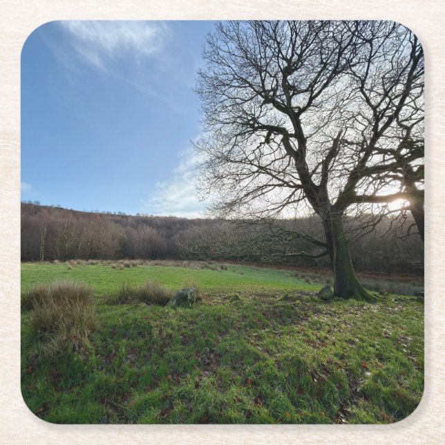 Posavasos Cuadrado De Papel Tree view.. (Anverso)