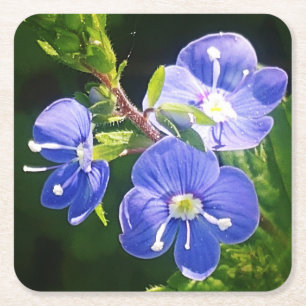 Posavasos Cuadrado De Papel Tres flores azules