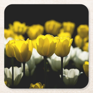 Posavasos Cuadrado De Papel Tulipanes Amarillo Y Blanco