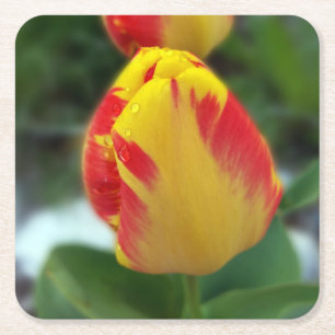 Posavasos Cuadrado De Papel tulipanes amarillos rojos