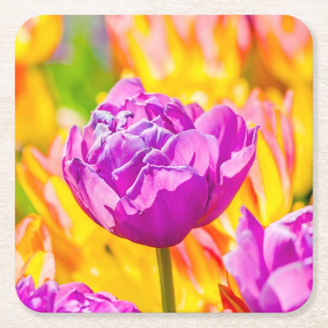 Posavasos Cuadrado De Papel Tulipanes encantadores 12 (Anverso)