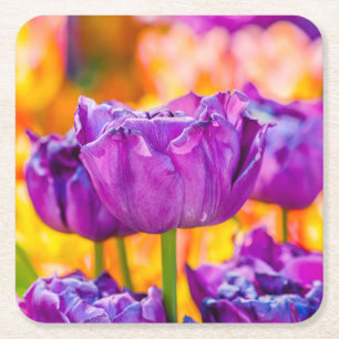 Posavasos Cuadrado De Papel Tulipanes encantadores púrpura