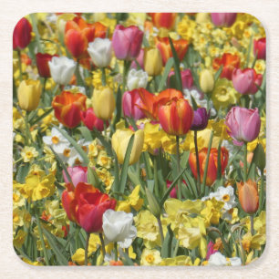 Posavasos Cuadrado De Papel Tulipanes y Daffodils coloridos Flores Papel Repar