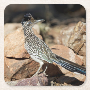 Posavasos Cuadrado De Papel Un corredor de carreteras se detiene momentáneamen
