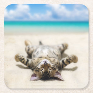 Posavasos Cuadrado De Papel Un gato tomando el sol en la playa