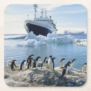 Posavasos Cuadrado De Papel Un grupo de pingüinos que se colocan en una playa