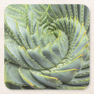 Posavasos Cuadrado De Papel Un Succulent verde y blanco
