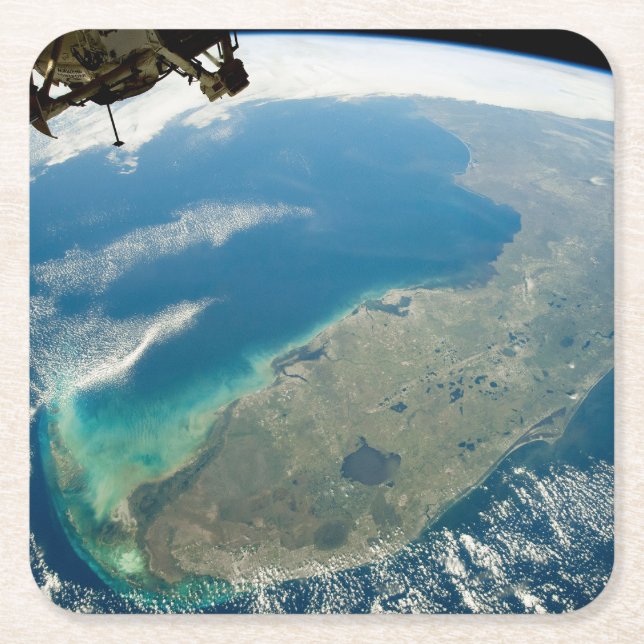 Posavasos Cuadrado De Papel Una Florida Oblíque, En La Costa Sureste (Anverso)