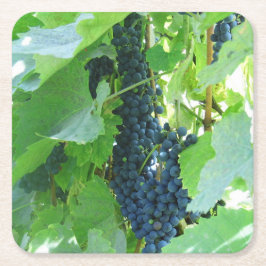 Posavasos Cuadrado De Papel Uvas Azules