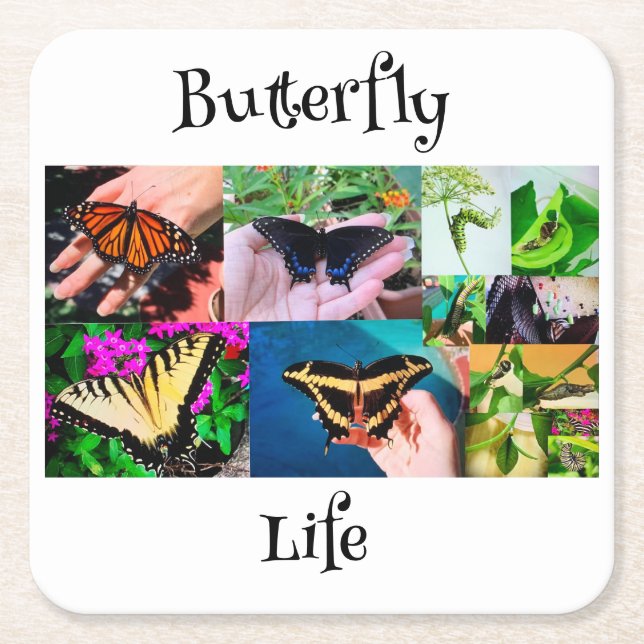 Posavasos Cuadrado De Papel Vida de mariposa (Anverso)