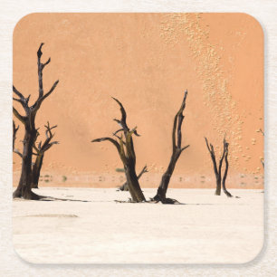 Posavasos Cuadrado De Papel Vlei muerto, Namibia