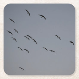 Posavasos Cuadrado De Papel Vuelo nocturno