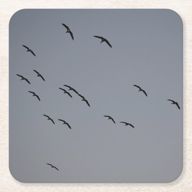 Posavasos Cuadrado De Papel Vuelo nocturno (Anverso)