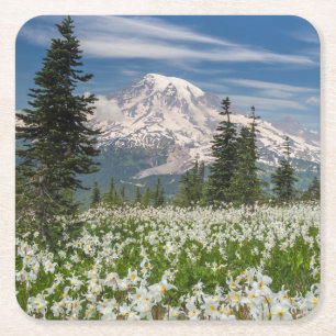 Posavasos Cuadrado De Papel Washington, Parque Nacional Mount Rainier 1