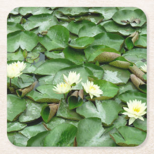 Posavasos Cuadrado De Papel Water Lillies