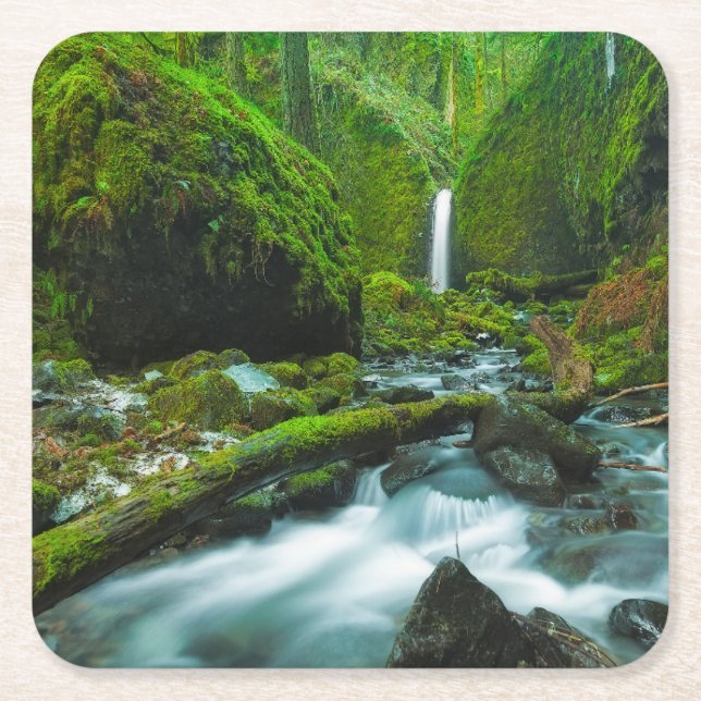 Posavasos Cuadrado De Papel Waterfalls | Grotto Falls, Oregon (Anverso)