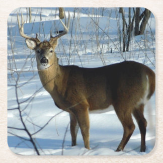 Posavasos Cuadrado De Papel Whitetail Buck Winter