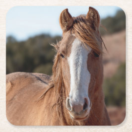 Posavasos Cuadrado De Papel Wild Mustang