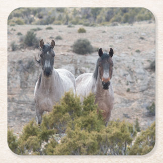 Posavasos Cuadrado De Papel Wild Mustang Mare y Wilse Horse Stallion