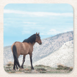 Posavasos Cuadrado De Papel Wild Mustang Stallion